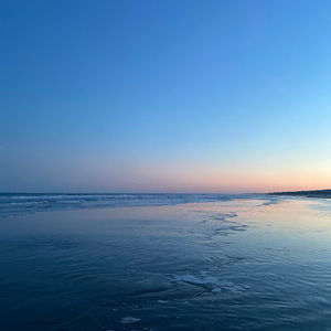 Meet your Posher, Jazelle